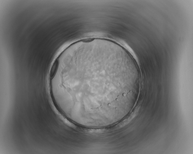 X0000111821389200909031442