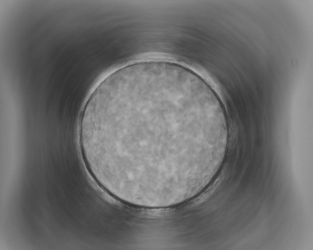 X0000111821390200909031442