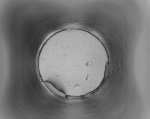 X0000111821392200909031442
