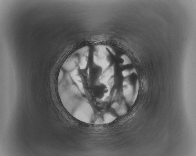 X0000111821393200909031441