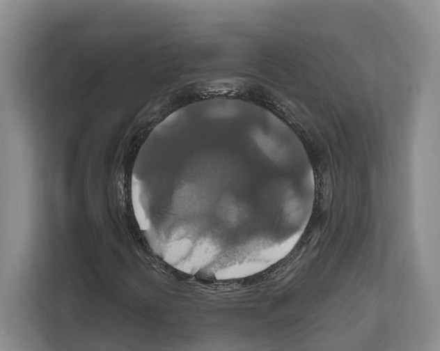 X0000111821394200909031441