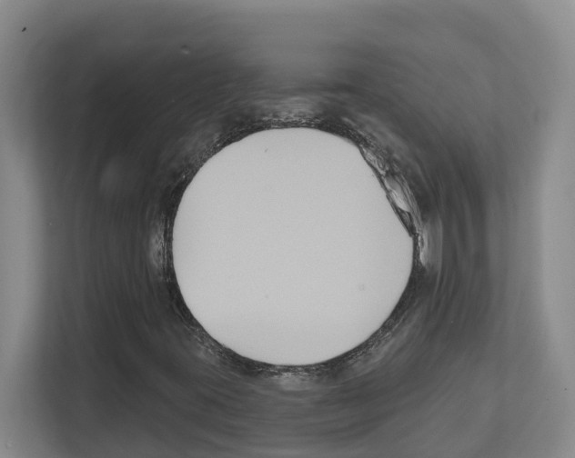 X0000111821395200909031441