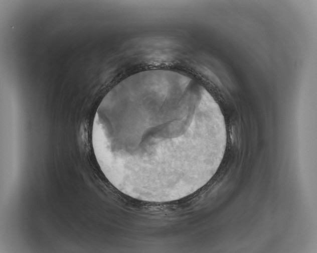 X0000111821396200909031441