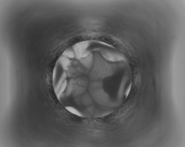 X0000111821397200909031441