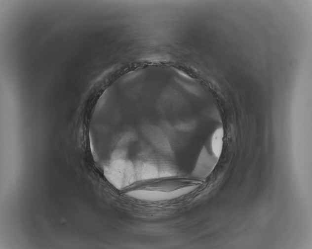 X0000111821398200909031441