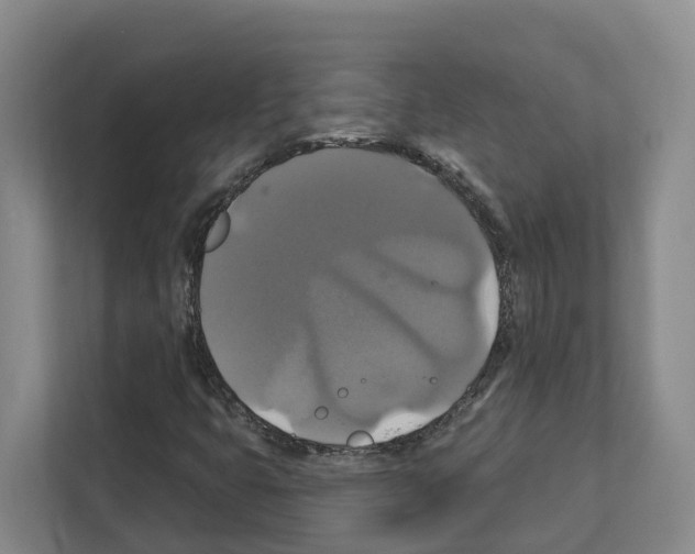 X0000111821399200909031441