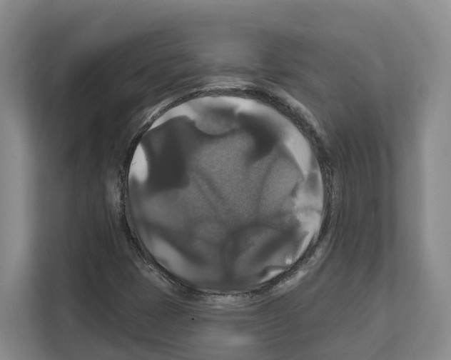 X0000111821401200909031441