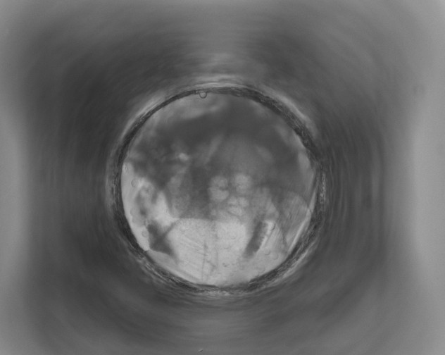 X0000111821405200909031441