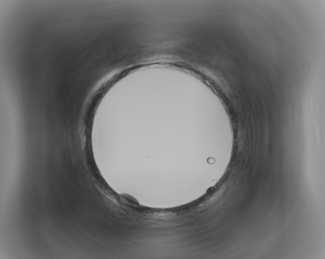 X0000111821406200909031441