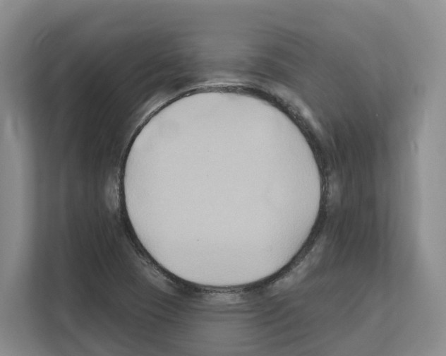 X0000111821409200909031441