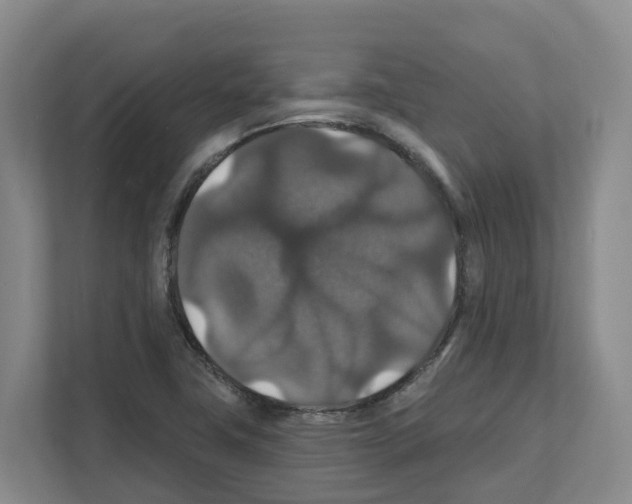 X0000111821411200909031441