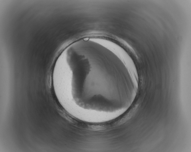 X0000111821413200909031441
