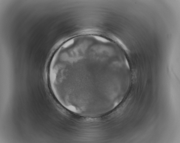 X0000111821419200909031441