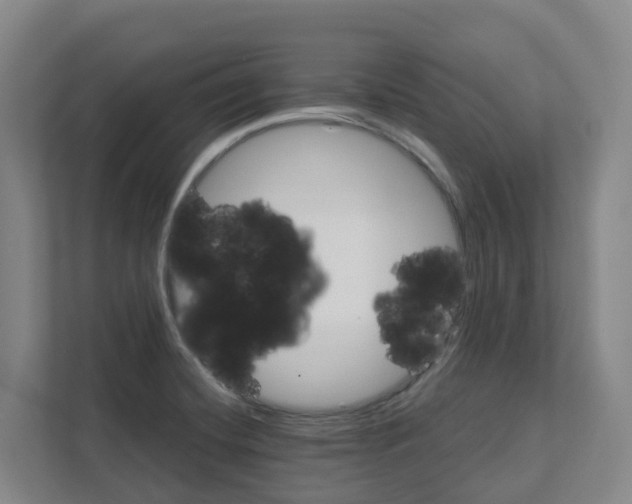 X0000111821420200909031441