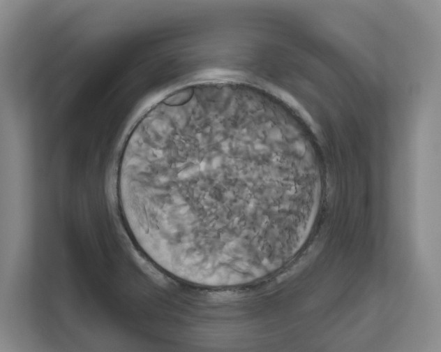 X0000111821421200909031441