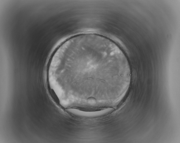 X0000111821424200909031441
