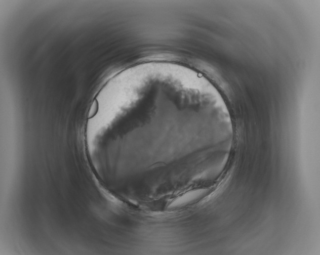 X0000111821425200909031441