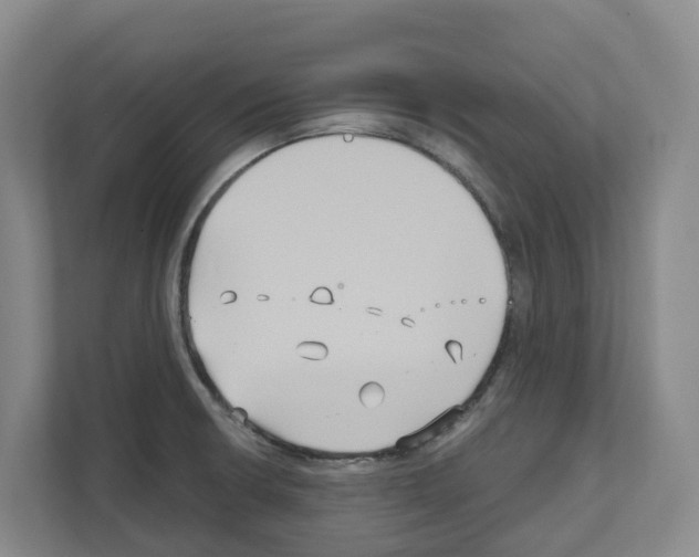 X0000111821426200909031441