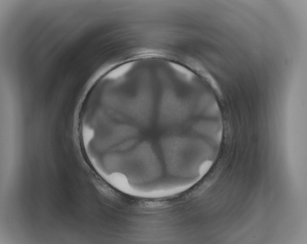 X0000111821427200909031441