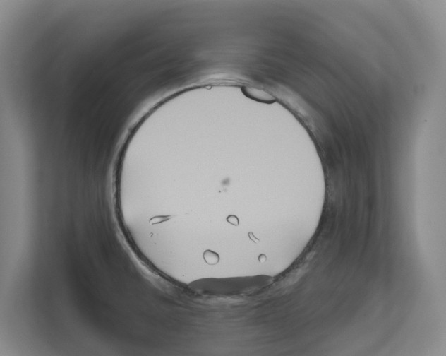 X0000111821430200909031441