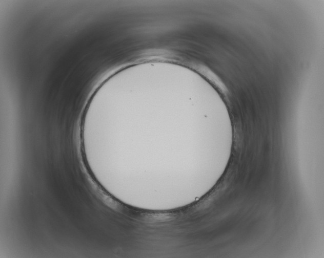 X0000111821431200909031441