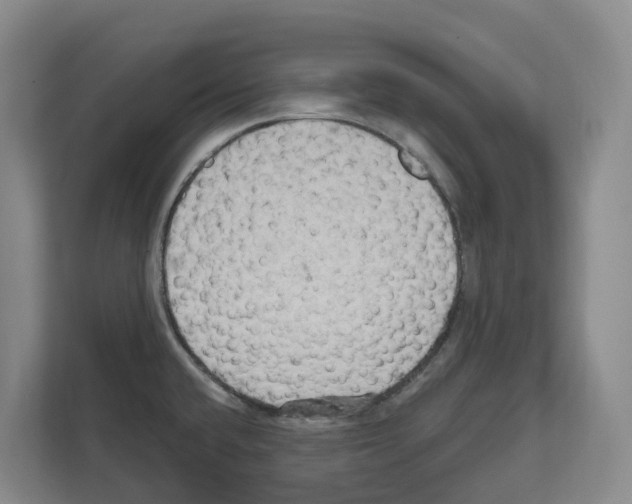 X0000111821432200909031441