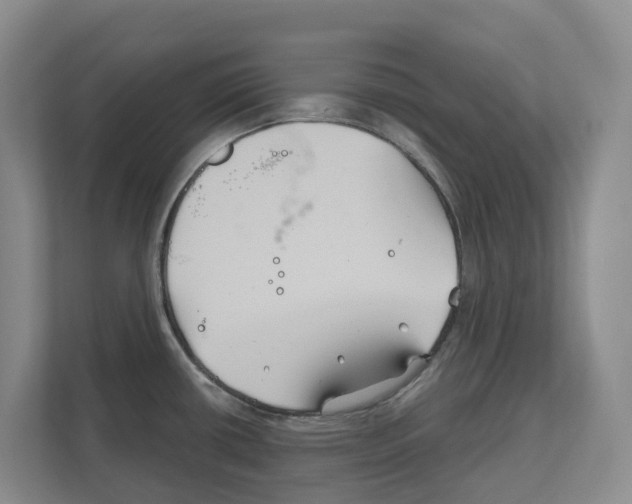 X0000111821434200909031441