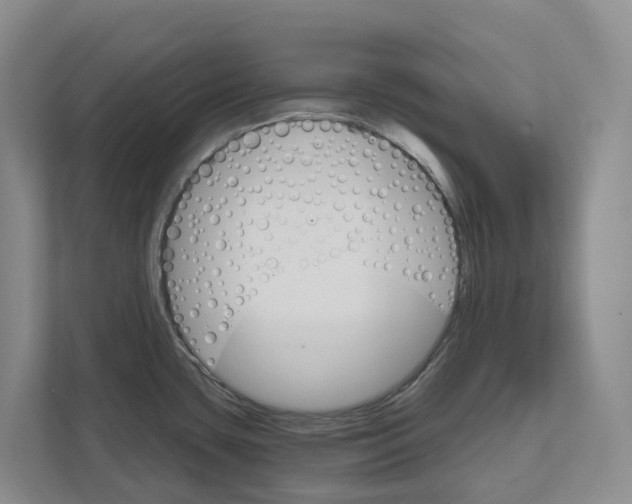 X0000111821435200909031441