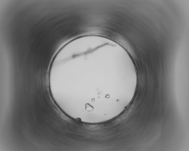 X0000111821436200909031441