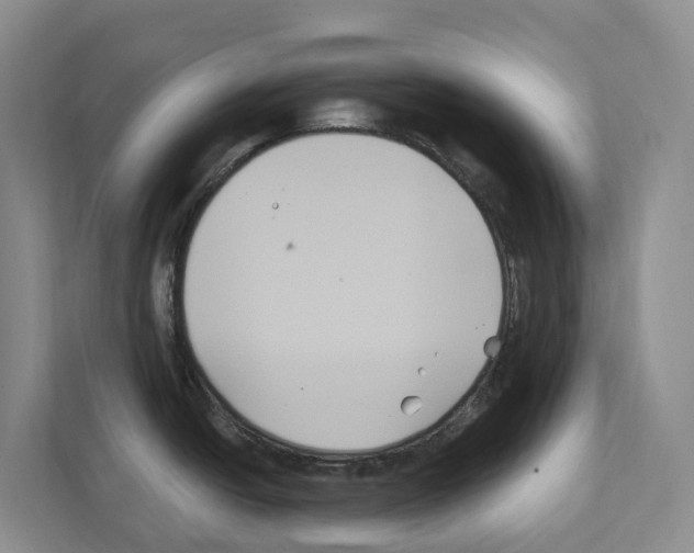 X0000111821438200909031441
