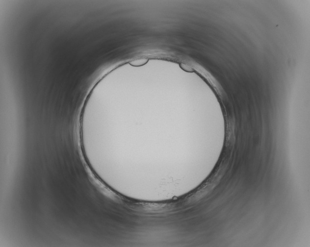 X0000111821439200909031442