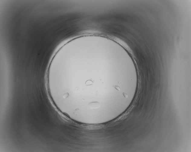 X0000111821440200909031442