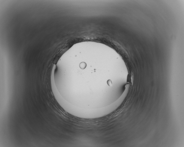 X0000111821444200909031441