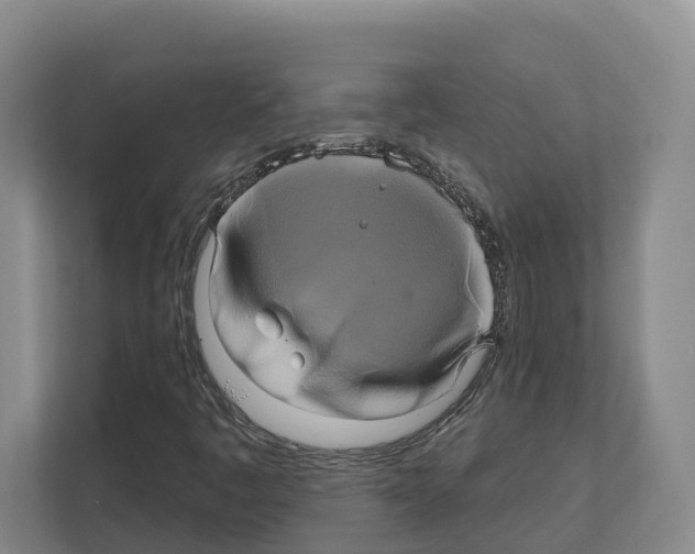 X0000111821445200909031441