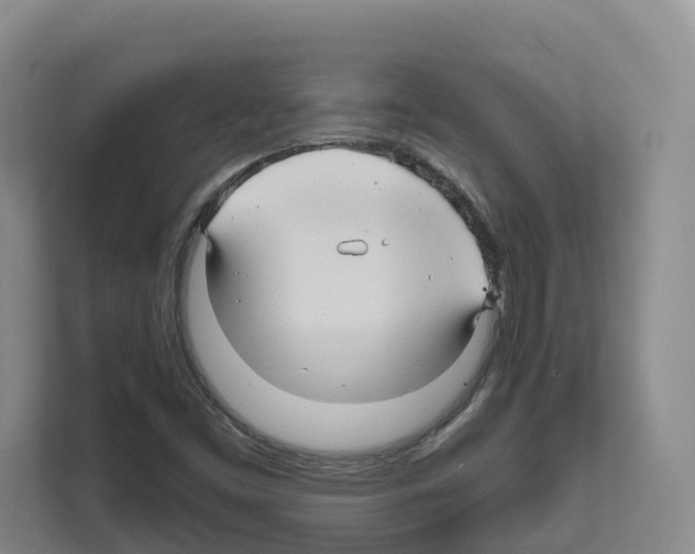 X0000111821453200909031441