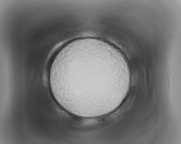 X0000111821454200909031441