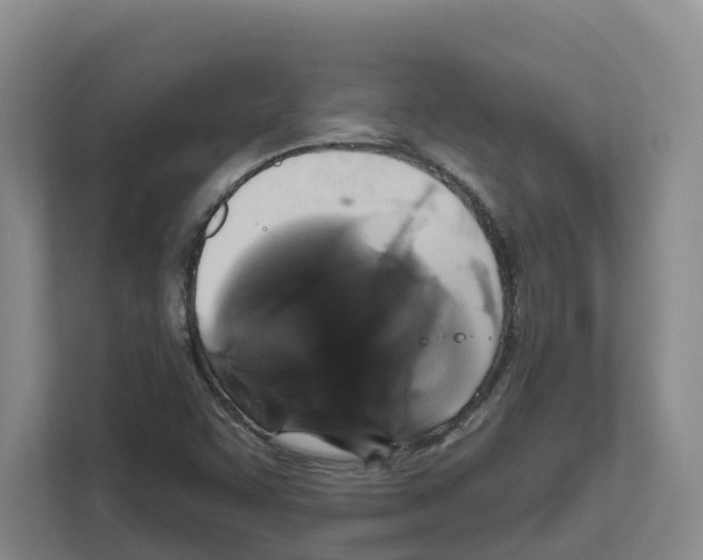 X0000111821455200909031441
