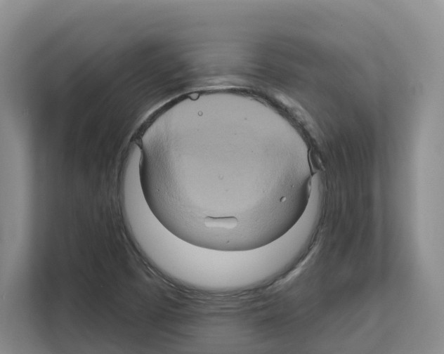 X0000111821457200909031441