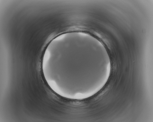 X0000111821459200909031441