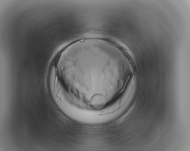 X0000111821461200909031441