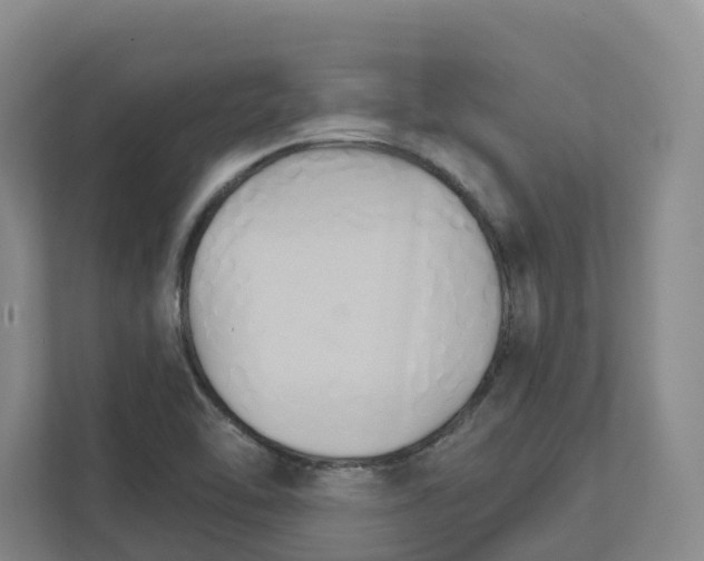X0000111821462200909031441