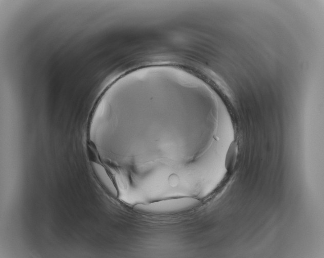 X0000111821465200909031441