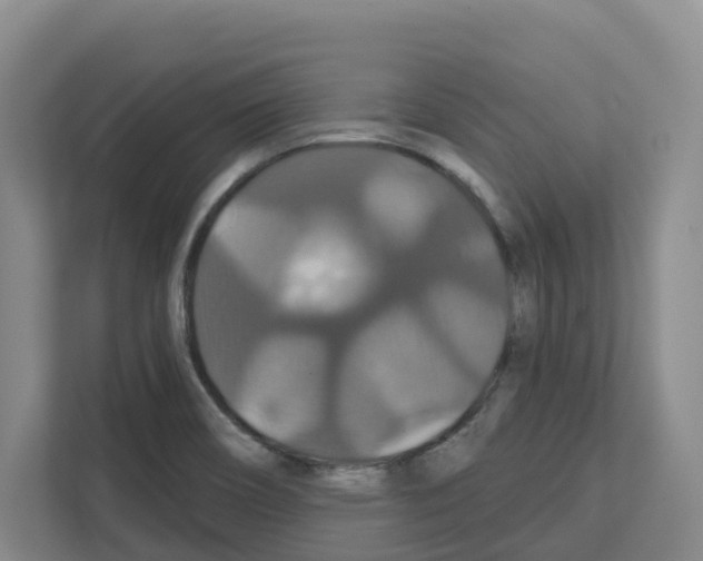 X0000111821466200909031441