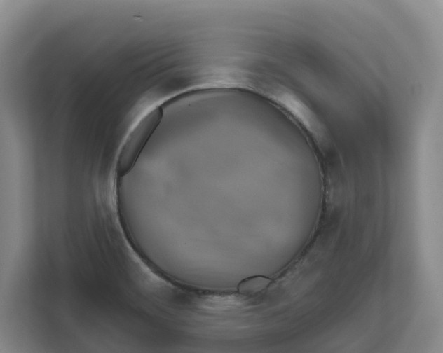 X0000111821468200909031441