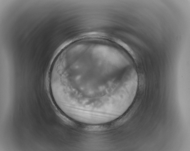 X0000111821474200909031440