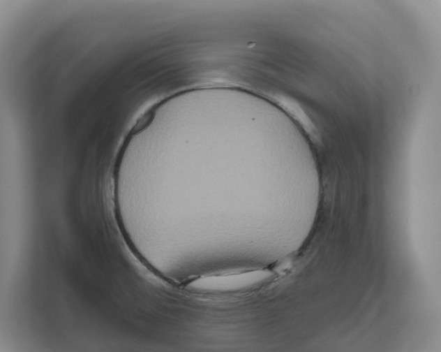 X0000111821476200909031440