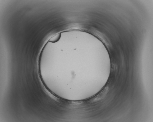 X0000111821483200909031440