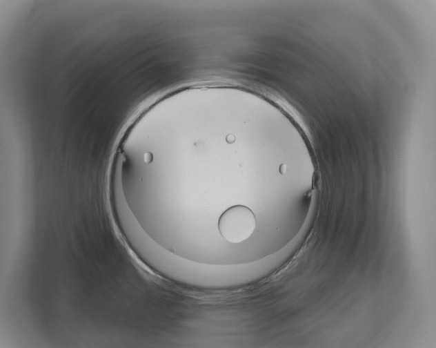 X0000111821485200909031440