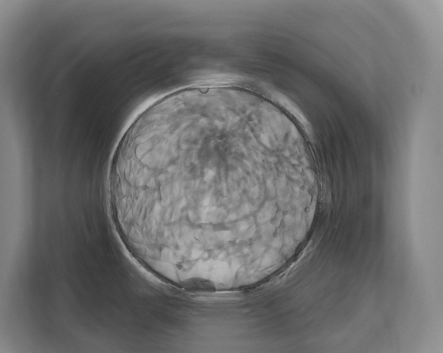 X0000111821487200909031440