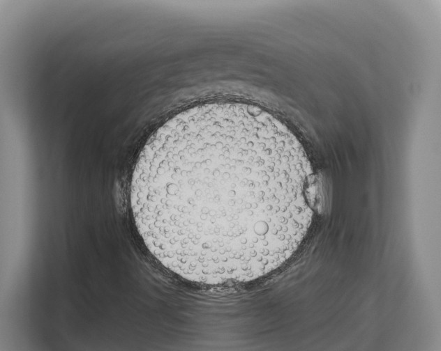 X0000111821491200909031440